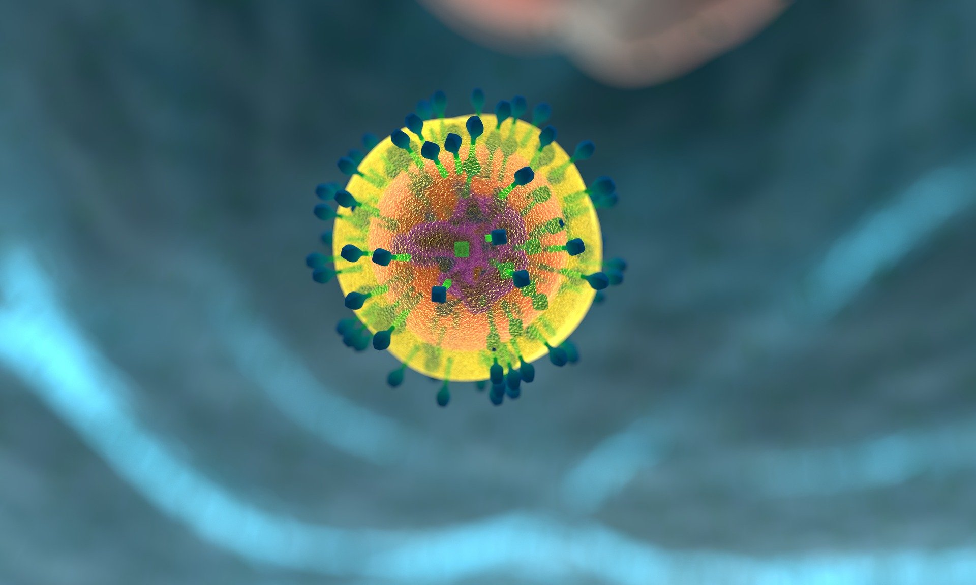 coronavirus 3d image